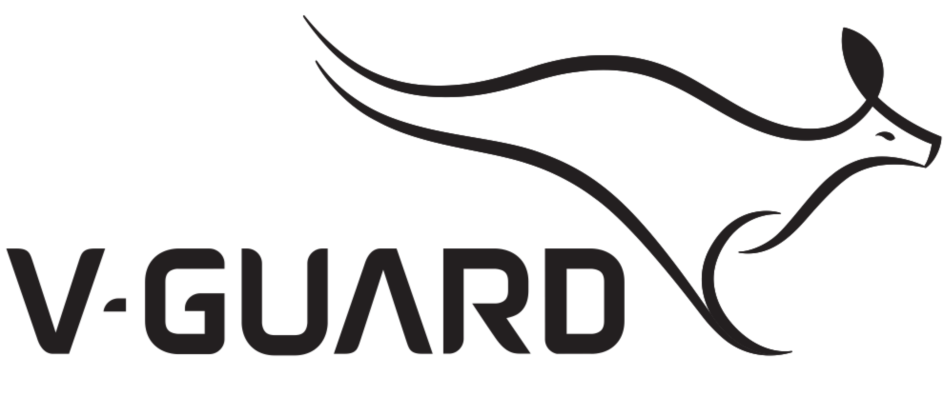 V-Guard-Logo-PNG@zeevector